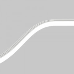 Светильник на шине Maytoni Technical TR180-1-12WTW-B