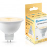 Светодиодная лампа Ambrella Light 170903
