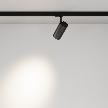 Светильник на шине Maytoni Technical TR197-3-30WCCT-M-B