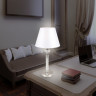 Настольная лампа Ambrella Light LH71007