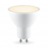 Светодиодная лампа Ambrella Light 180903