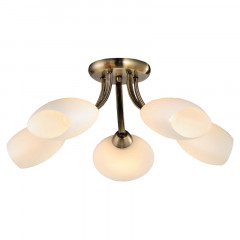 Накладная люстра Lussole LSP-0189