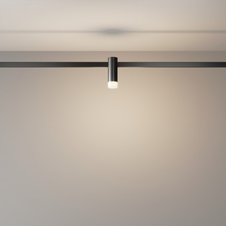 Светильник на шине Maytoni Technical TR145-1-3W3K-W-B