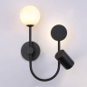 Бра Ambrella Light FL66389