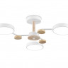 Люстра на штанге Ambrella Light FL4855