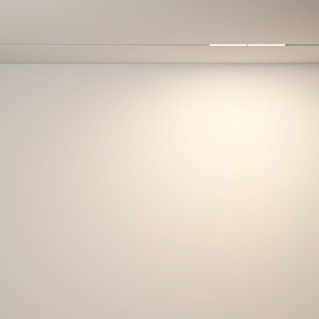 Светильник на шине Maytoni Technical TR106-2-12W3K-W