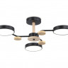 Люстра на штанге Ambrella Light FL4857
