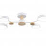 Люстра на штанге Ambrella Light FL4858
