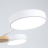 Люстра на штанге Ambrella Light FL4858