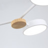 Люстра на штанге Ambrella Light FL4858