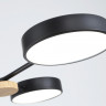 Люстра на штанге Ambrella Light FL4860