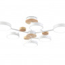 Люстра на штанге Ambrella Light FL4861