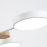Люстра на штанге Ambrella Light FL4861