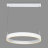 Подвесной светильник Ambrella Light FA6605