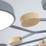 Люстра на штанге Ambrella Light FL4865