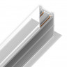 Шинопровод Ambrella Light GL1009