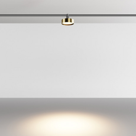 Светильник на шине Maytoni Technical TR204-1-12W3K-BBS