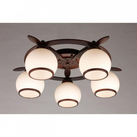 Накладная люстра Omnilux OML-50507-05