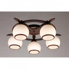 Накладная люстра Omnilux OML-50507-05