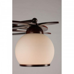 Накладная люстра Omnilux OML-50507-05