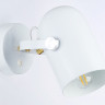 Спот Ambrella Light TR8202