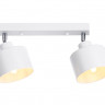 Спот Ambrella Light TR8141