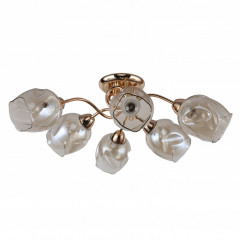 Накладная люстра F-Promo 2190-6U