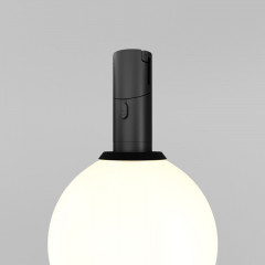 Светильник на шине Maytoni Technical TR208-1-5W3K-B