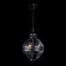 Подвесная люстра LOFT IT LOFT3043-BL