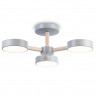 Люстра на штанге Ambrella Light FL4822