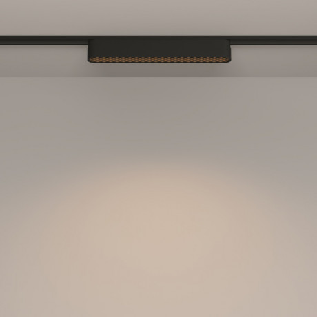 Светильник на шине Maytoni Technical TR084-1-12W3K-B