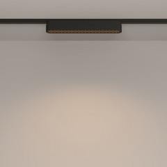 Светильник на шине Maytoni Technical TR084-1-12W3K-B
