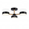 Люстра на штанге Ambrella Light FL4823