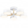 Люстра на штанге Ambrella Light FL4825