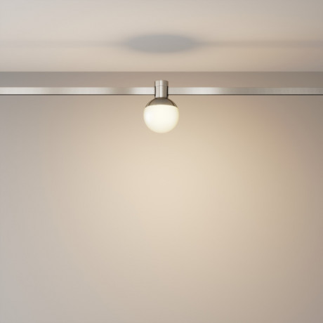 Светильник на шине Maytoni Technical TR149-1-5W3K-PT