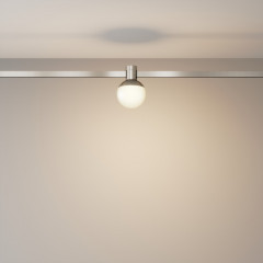 Светильник на шине Maytoni Technical TR149-1-5W3K-PT