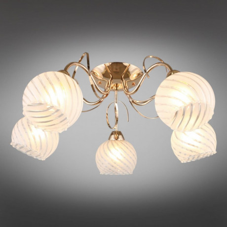 Накладная люстра Omnilux OML-24907-05