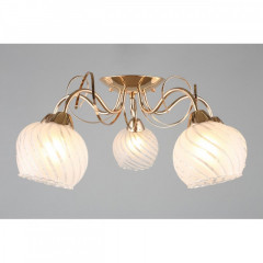 Накладная люстра Omnilux OML-24907-05