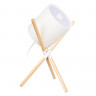 Настольная лампа LOFT IT 10245T White