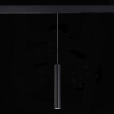 Светильник на шине ST-Luce ST377.403.07