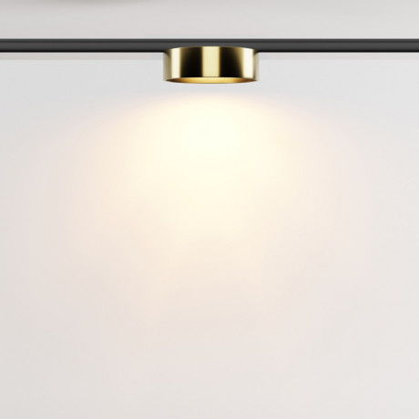 Светильник на шине Maytoni Technical TR189-1-12W2.7K-BBS