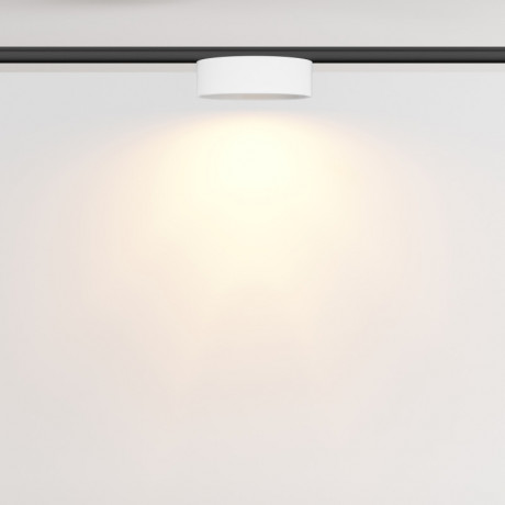 Светильник на шине Maytoni Technical TR189-1-12W2.7K-BW