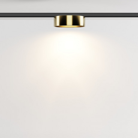 Светильник на шине Maytoni Technical TR189-1-12W3K-BBS