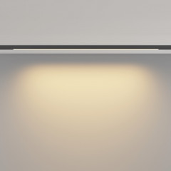 Светильник на шине Maytoni Technical TR190-1-10W2.7K-B