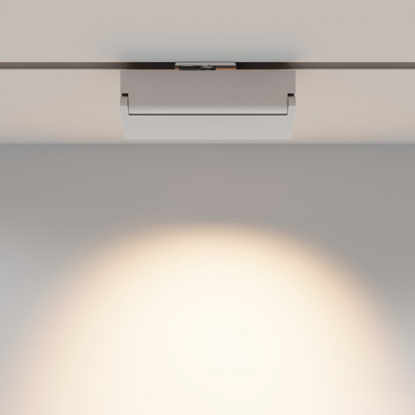 Светильник на шине Maytoni Technical TR224-1-12WCCT-M-W