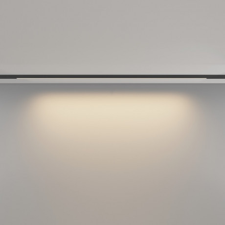 Светильник на шине Maytoni Technical TR190-1-15W3K-B