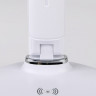 Настольная лампа Ambrella Light DE520