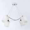 Подвесная люстра Ambrella Light TR303156