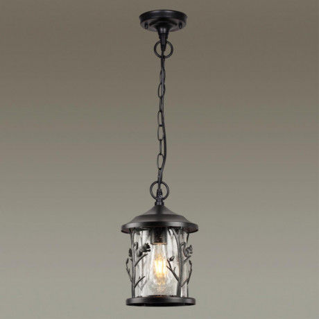 Подвесной уличный светильник Odeon Light 4963/1