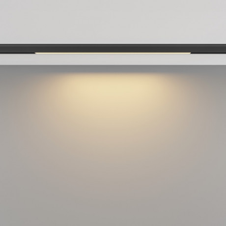 Светильник на шине Maytoni Technical TR190-1-5W2.7K-B